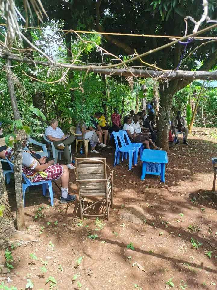 Church under a tree