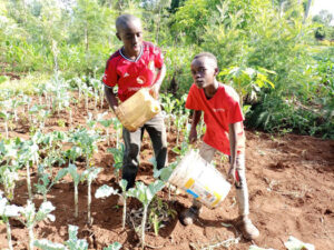 Warm Christian greetings in the precious name of our Lord Jesus Christ