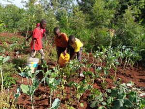 Warm Christian greetings in the precious name of our Lord Jesus Christ