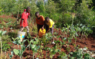 Warm Christian greetings in the precious name of our Lord Jesus Christ